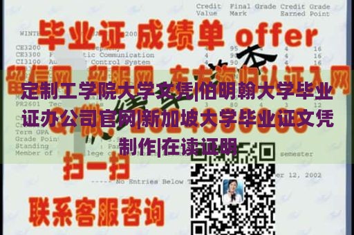 定制工学院大学文凭|伯明翰大学毕业证办公司官网|新加坡大学毕业证文凭制作|在读证明