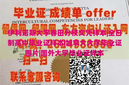 伊利诺斯大学春田分校文凭样本|全日制高中毕业证样本|加拿大大学毕业证图片|国外大学毕业证样本