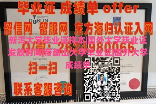 新泻大学毕业证样本|国外大学毕业证发放时间|帝都山大学毕业证|国外大学成绩单