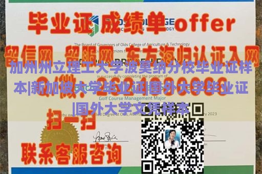 加州州立理工大学波莫纳分校毕业证样本|新加坡大学毕业证|国外大学毕业证|国外大学文凭样本