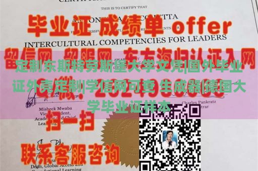 定制东斯特劳斯堡大学文凭|国外毕业证外壳定制|学信网可查 生成器|德国大学毕业证样本