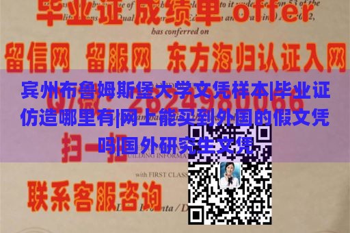 宾州布鲁姆斯堡大学文凭样本|毕业证仿造哪里有|网上能买到外国的假文凭吗|国外研究生文凭